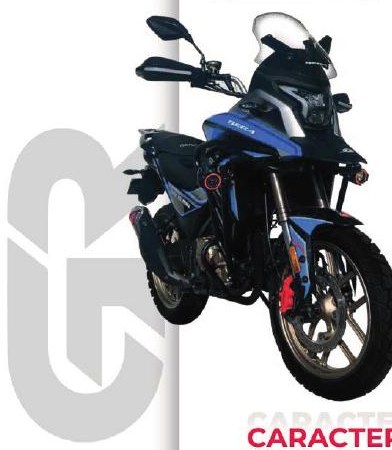 Bera GR 250